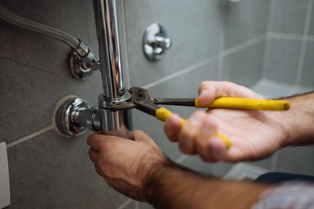 Best Commercial Plumbing Services  in , CO